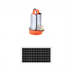 LSSP-12